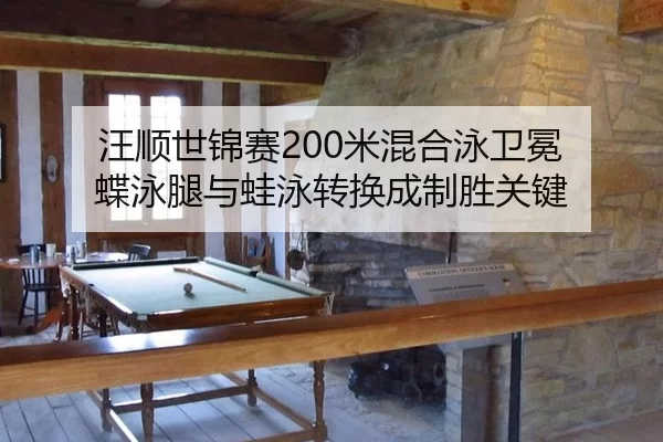 wang-shun-shi-jin-sai-mi-hun-he-yong-wei-mian-die-yong-tui-yu-wa-yong-zhuan-huan-cheng-zhi-sheng-guan-jian-2-877.jpg